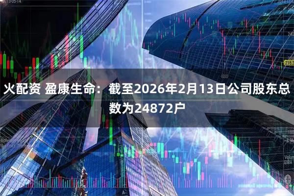 火配资 盈康生命：截至2026年2月13日公司股东总数为24872户