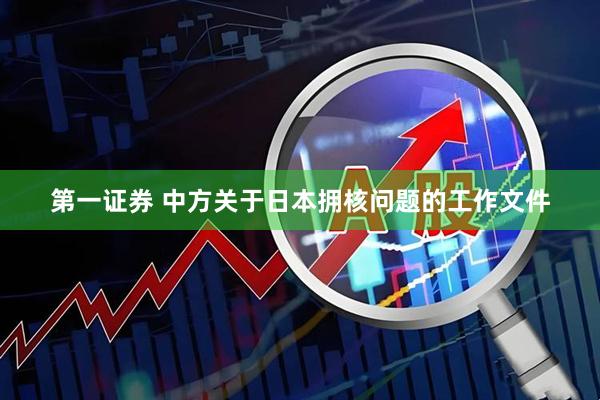 第一证券 中方关于日本拥核问题的工作文件