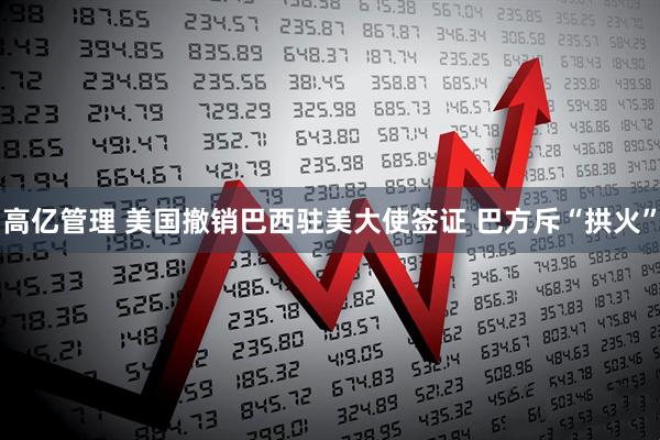 高亿管理 美国撤销巴西驻美大使签证 巴方斥“拱火”